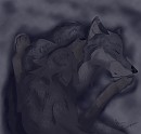 Love while night still hides the withering dawn