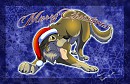 Merry Christmas to you all