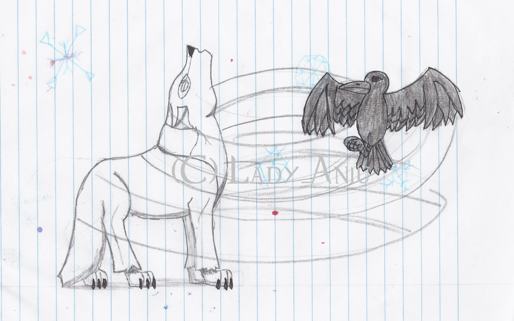 Aniu first