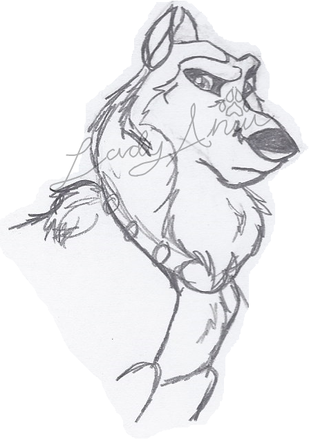 Dog of Steele