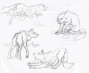 Cheveyo Body Study