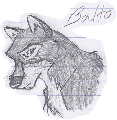 Balto Headshot