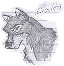 Balto Headshot