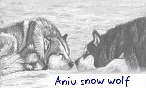 aniu snow wolf