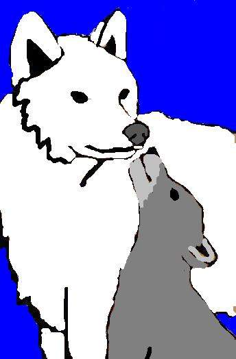 aniu and balto