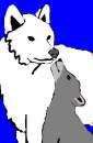aniu and balto