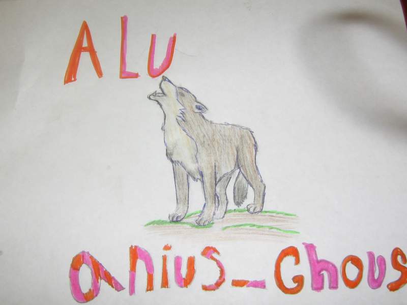 alu