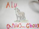 alu