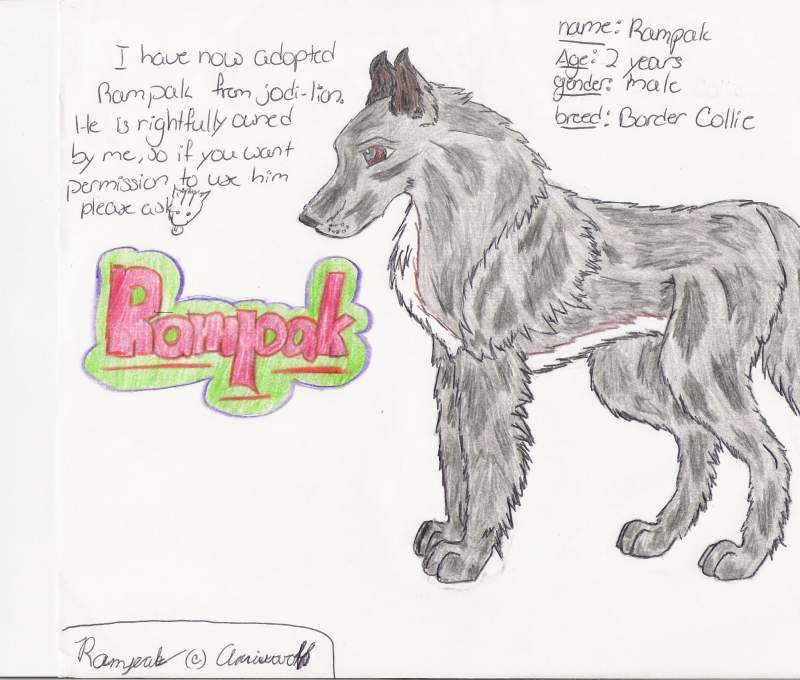 Rampak: For jodi-lion's adoption contest