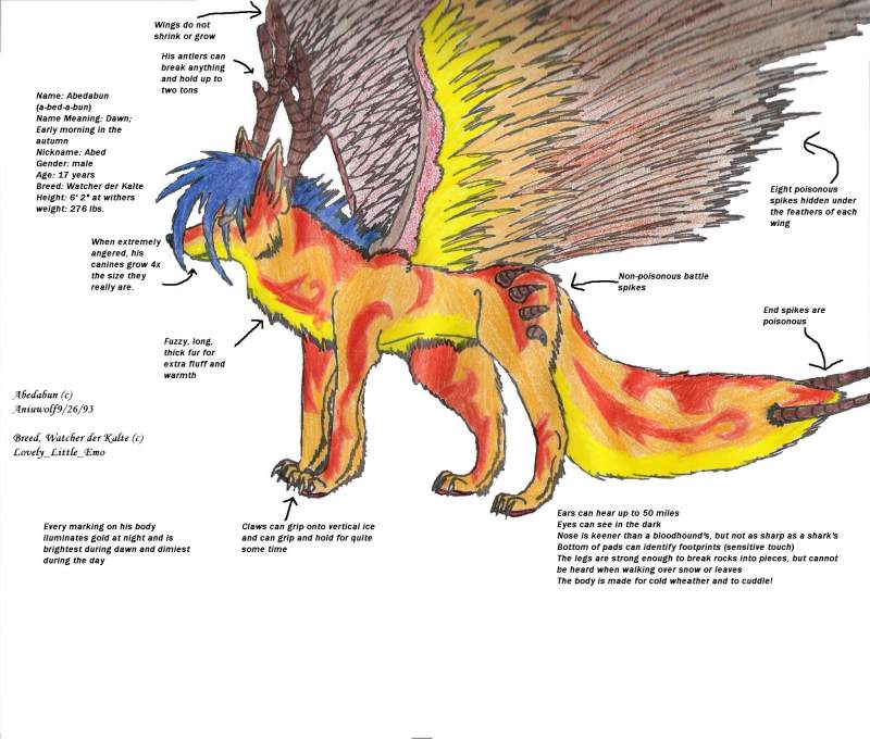 Abedabun's reference sheet