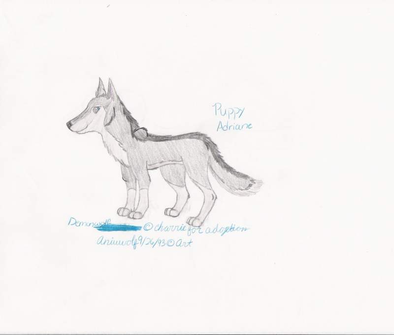 Adriane Puppy!!