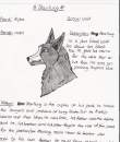 Starking's biography.