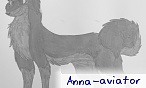 Anna-aviator