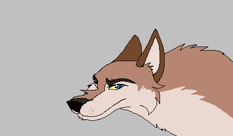Aleu