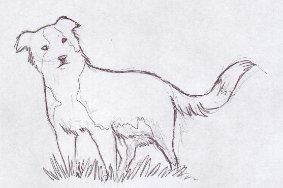 Annie