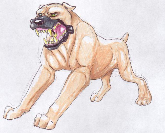 Angry Dog