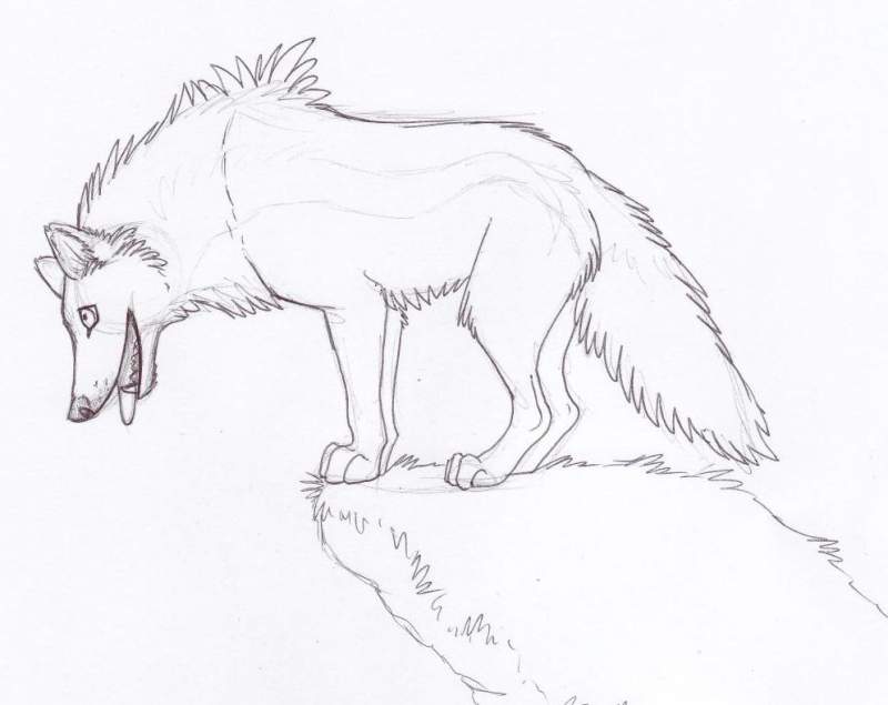 Wolf