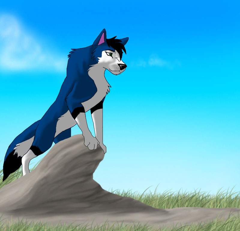 For Cattails