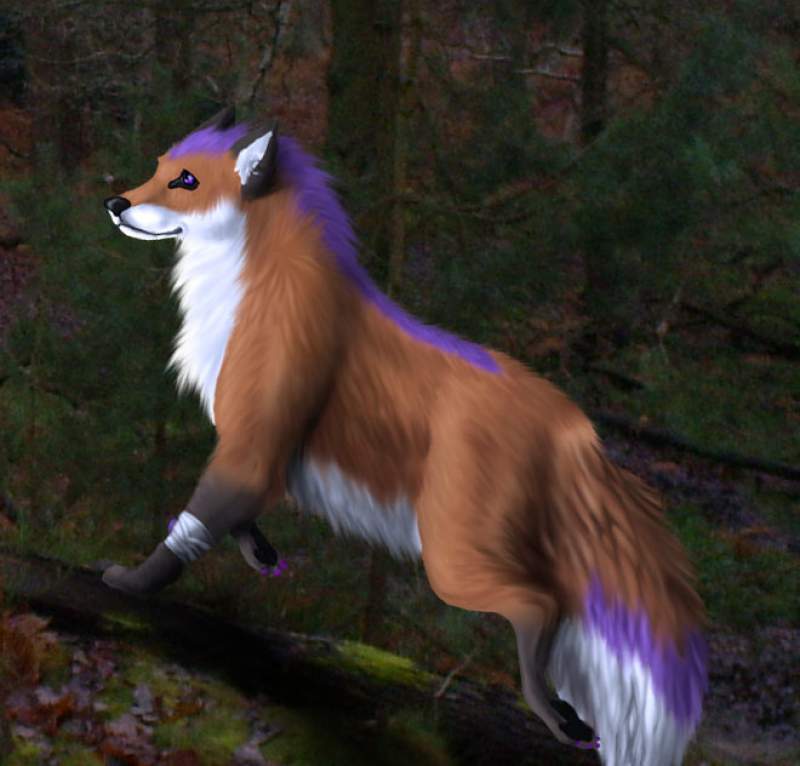 Spell Bark