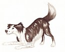 Annie in water colour