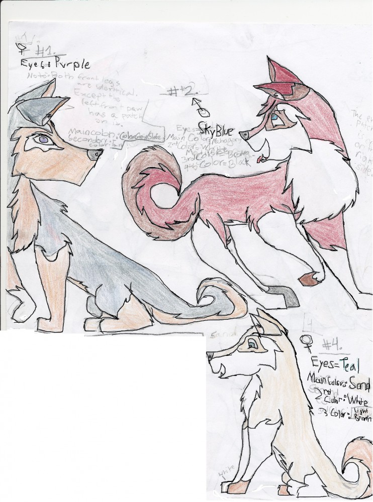 the ADOPTABLES!!! part 1 of 1 