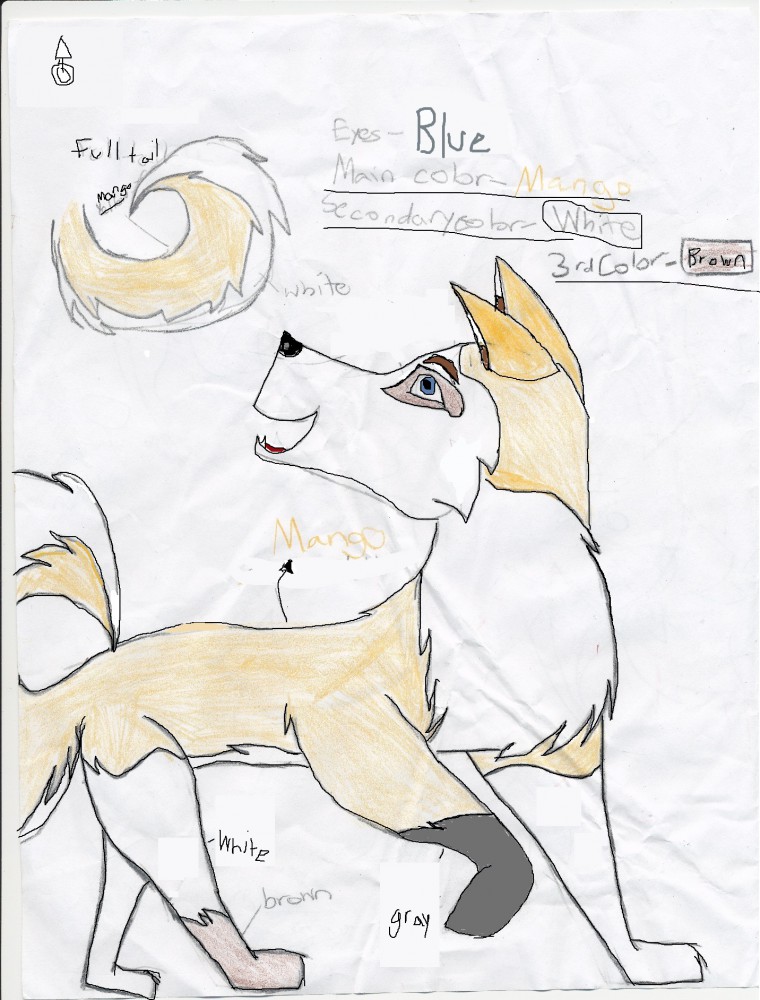 Adoptable for the PUBLIC 