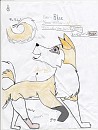 Adoptable for the PUBLIC 