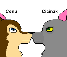 Drawn For Contest