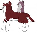 Kodi And Dusty