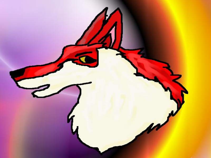 Random Huskey