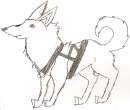 Some... Husky Thing