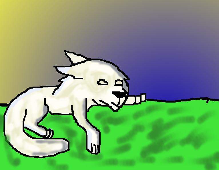 Sleeping.... Husky?