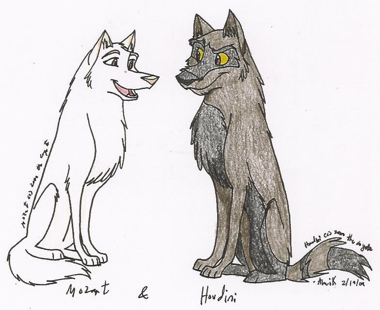 Trade with Zorro the Coyote
