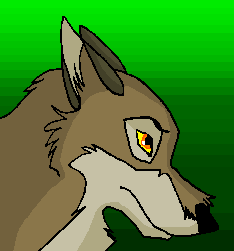 Balto, THe Wolfdog