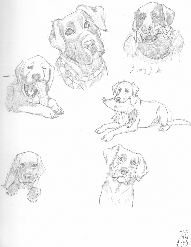 Lovely Labs