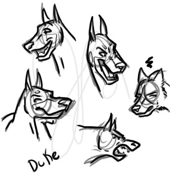 Dukie