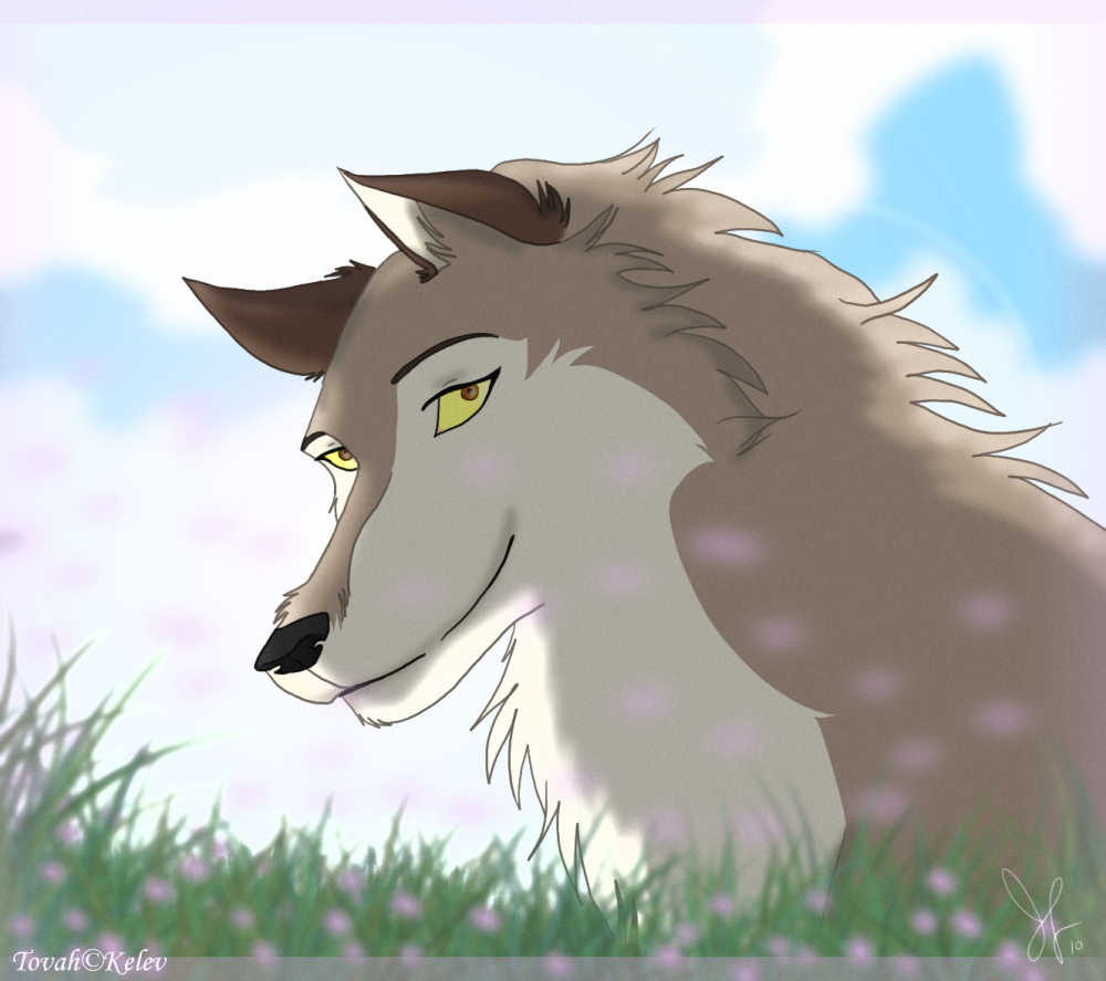 Pretty Eyes
