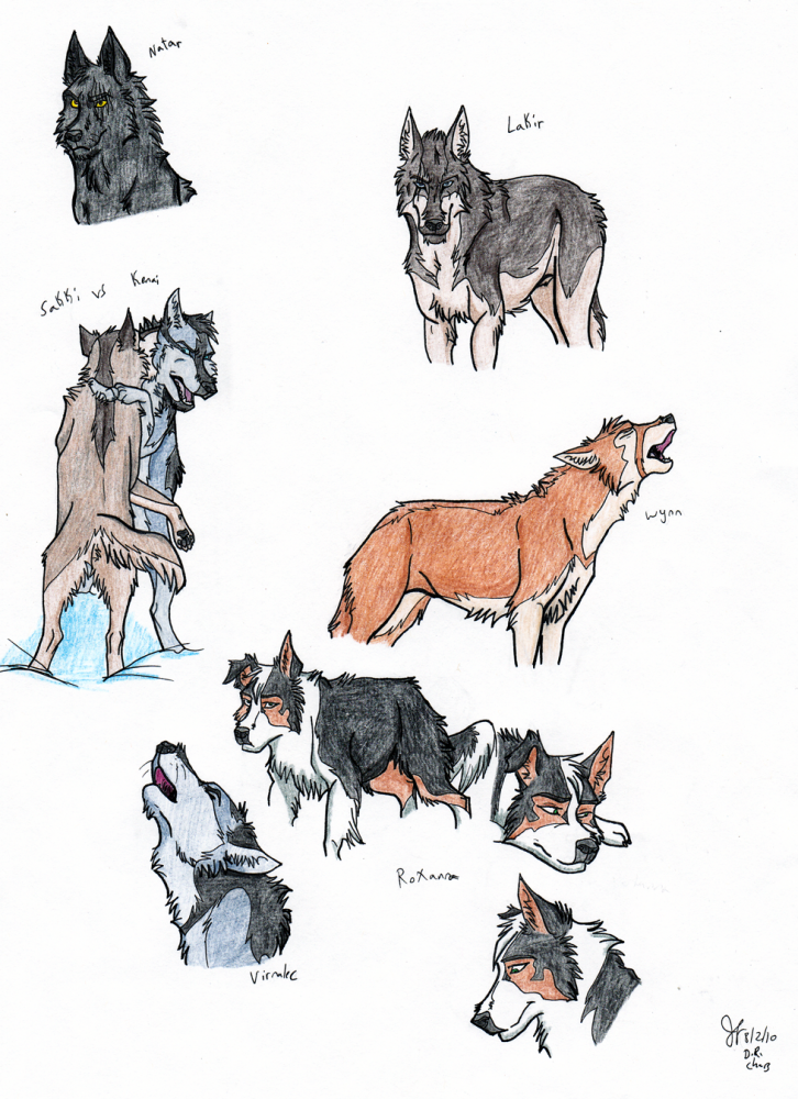Traditionally Dawn Runners