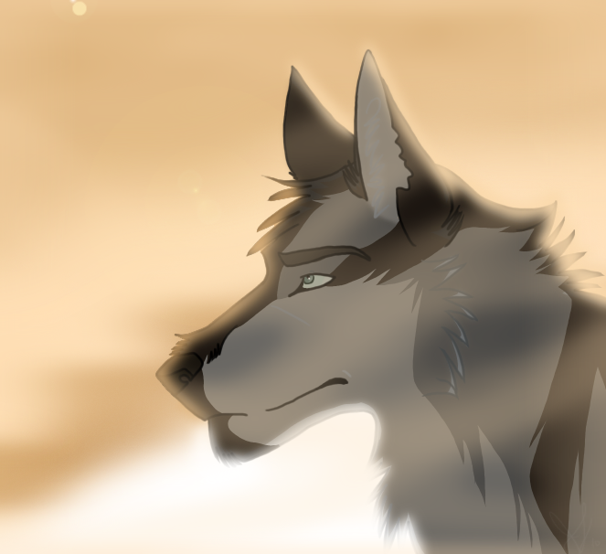 Dusk