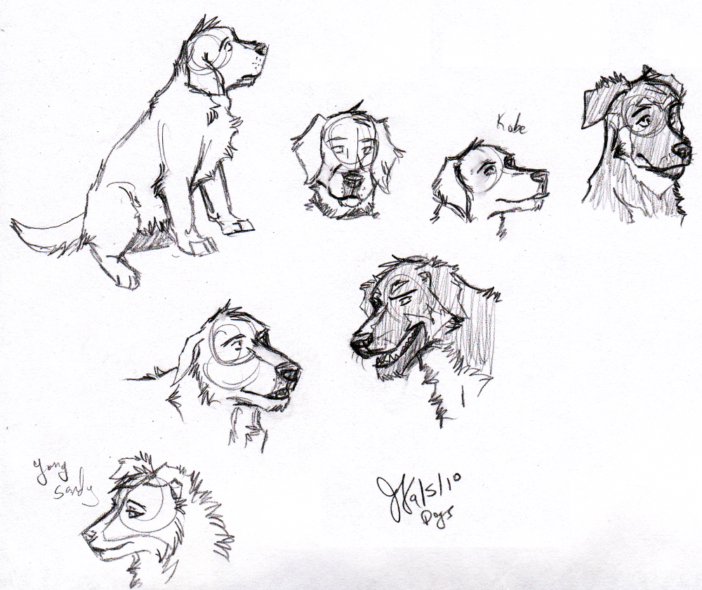 Misc. Dogs