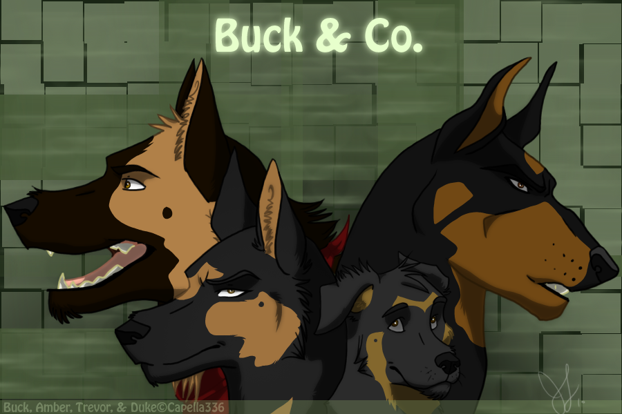 Buck and the Gang