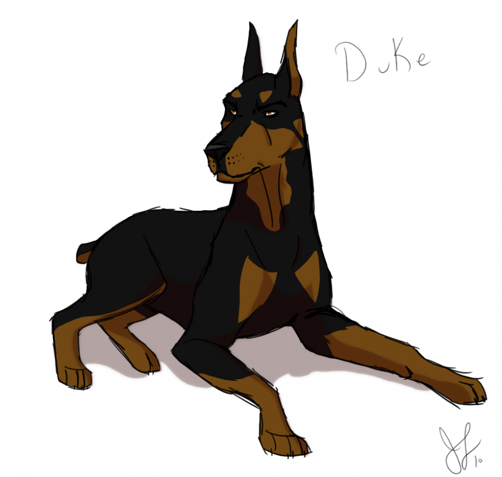 THE DuKe...