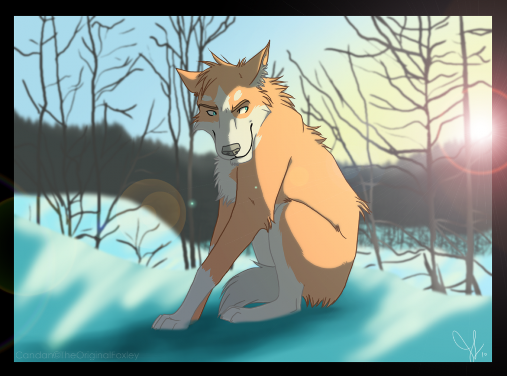 Winter...