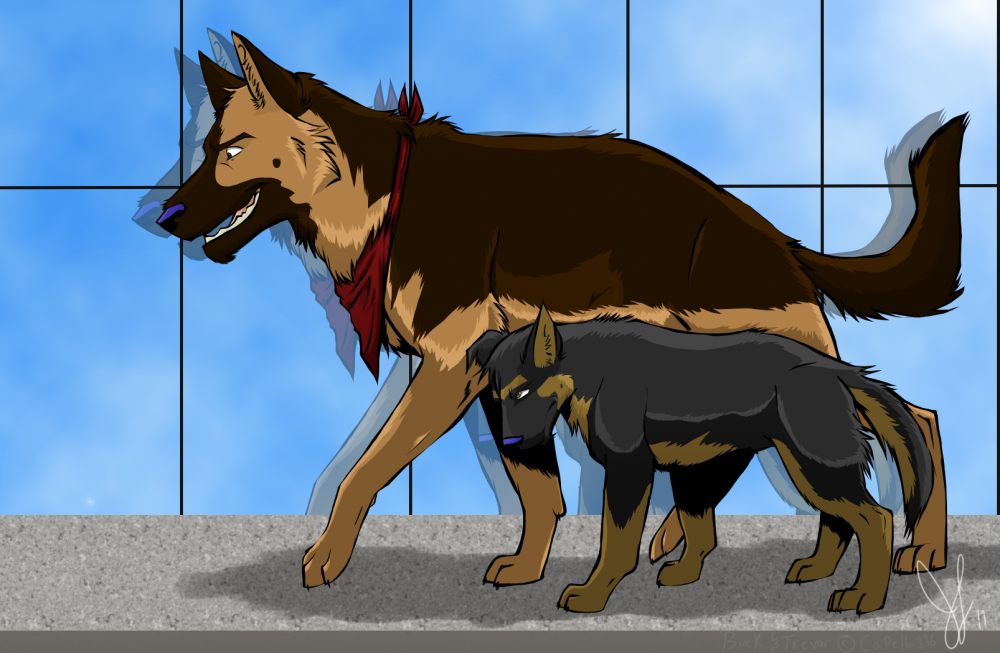 Buck & Trev