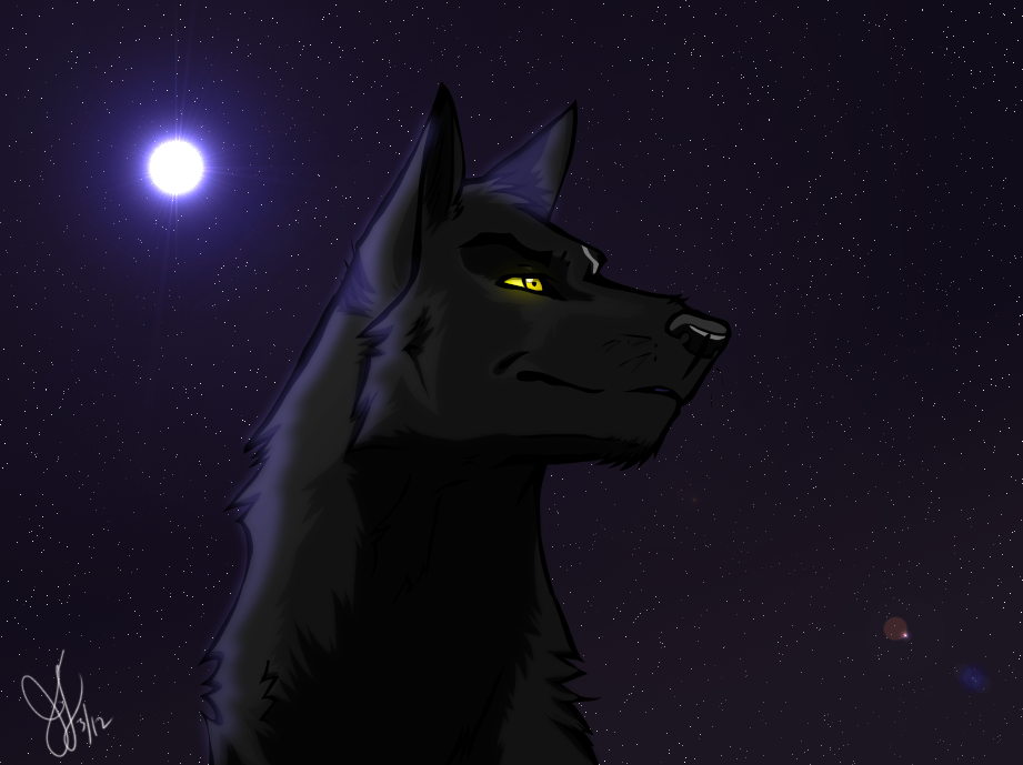 Night Shadow