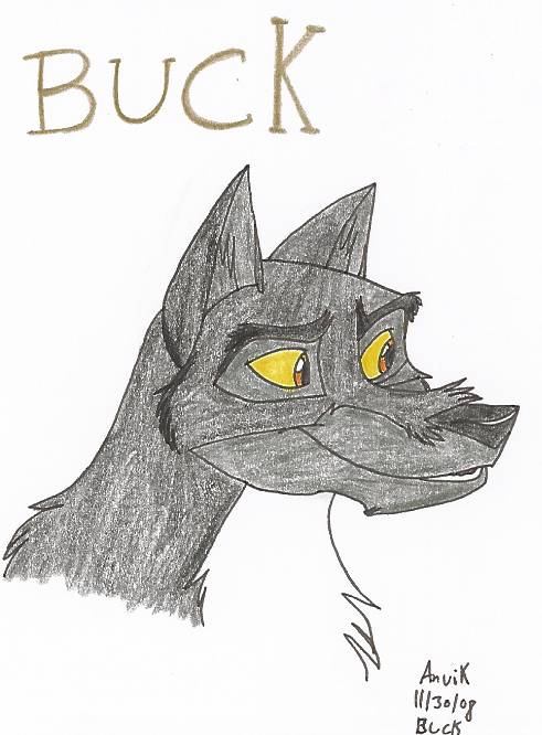 Buck for Lunawolf383