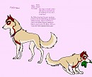 Fallon Bio