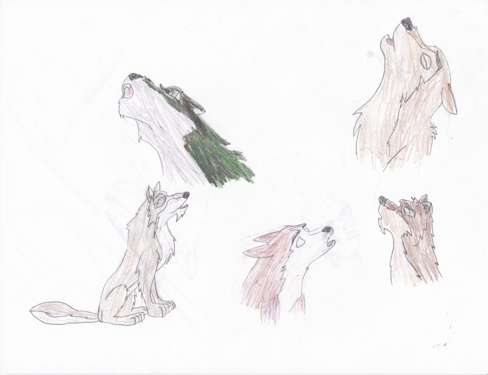 Howling of the Wolves(allies)