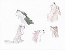 Howling of the Wolves(allies)