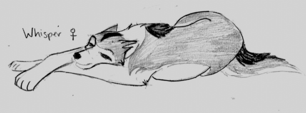 Whisper